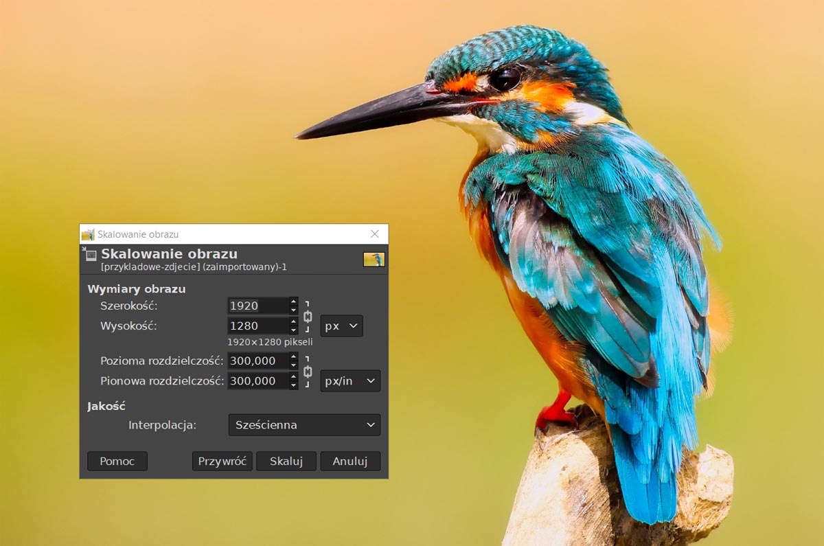 przykład skalowania zdjęcia w programie gimp