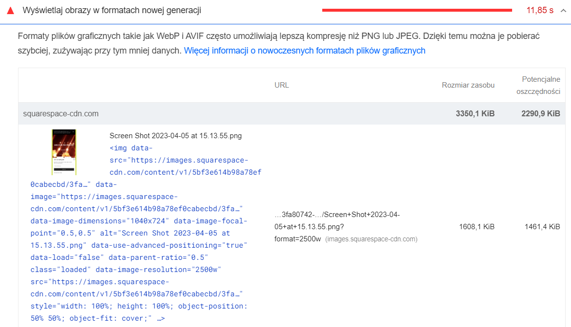 przykładowa oszczędność miejsca pokazana w narzędziu pagespeed insights